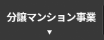 分譲マンション事業