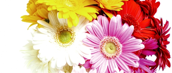 住まいのお誕生日に！